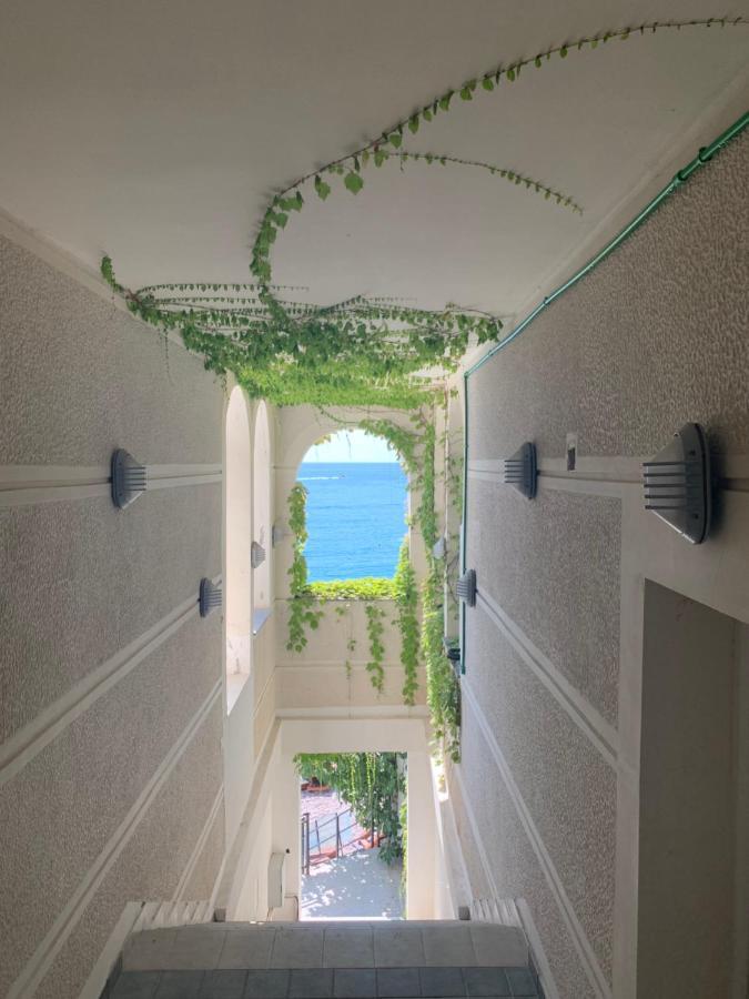 Sound Of The Sea Apartment Sveti Stefan Exterior photo